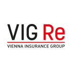 Reparații auto VIG RE – Atelier partener Servtinicor
