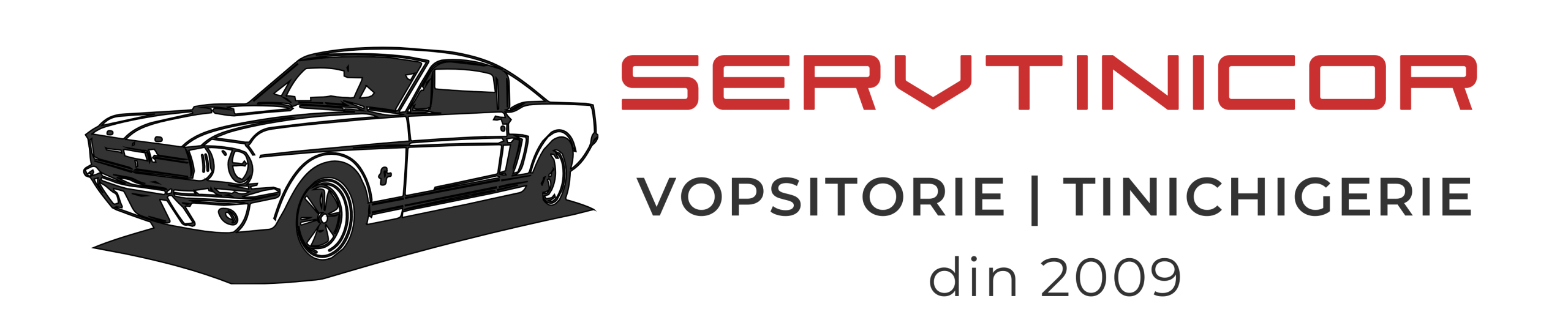 Logo Servtinicor – Centru daune auto, tinichigerie și vopsitorie în Fălticeni