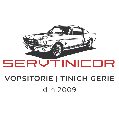Logo Servtinicor – Centru daune, vopsitorie și tinichigerie auto în Fălticeni